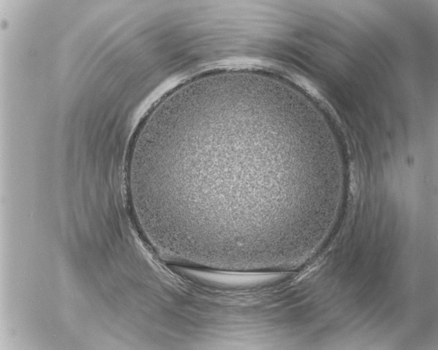 X0000055521229200508262157