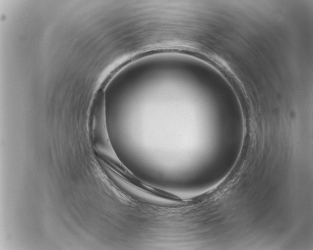 X0000055521230200508262157