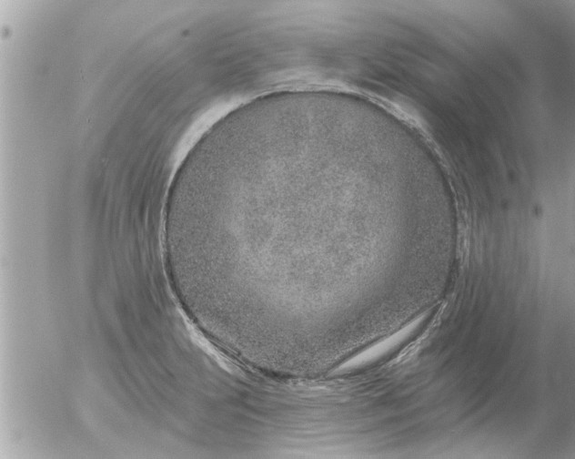 X0000055521231200508262157