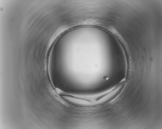 X0000055521232200508262157