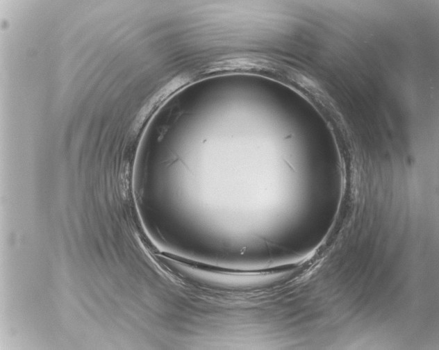 X0000055521233200508262157