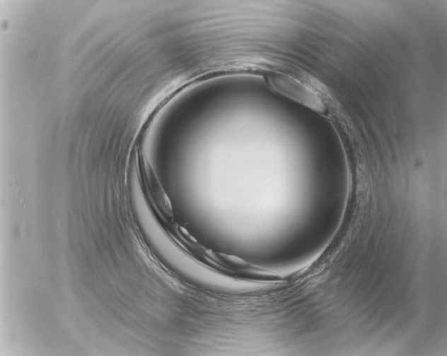 X0000055521234200508262157