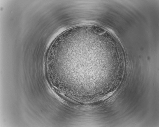 X0000055521235200508262157