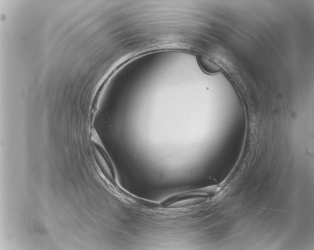 X0000055521236200508262157