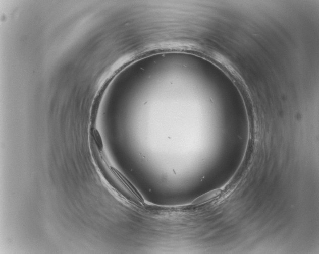 X0000055521237200508262157