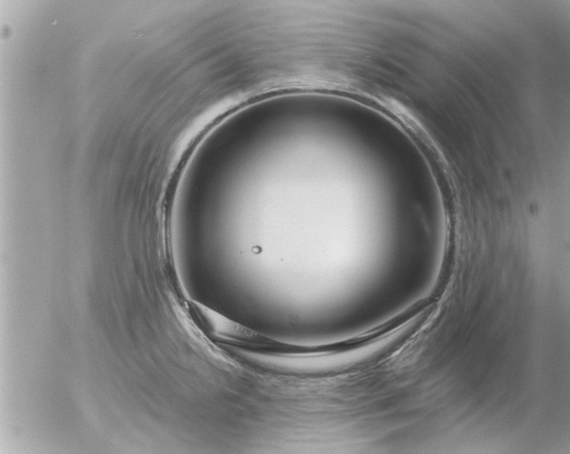 X0000055521238200508262157