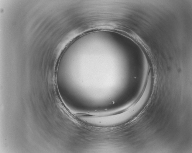 X0000055521240200508262157