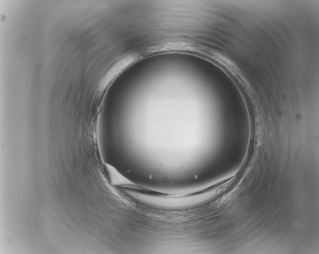 X0000055521241200508262157