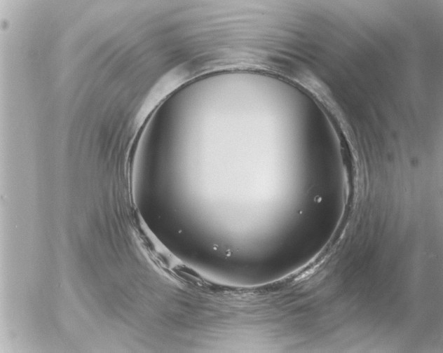 X0000055521242200508262157