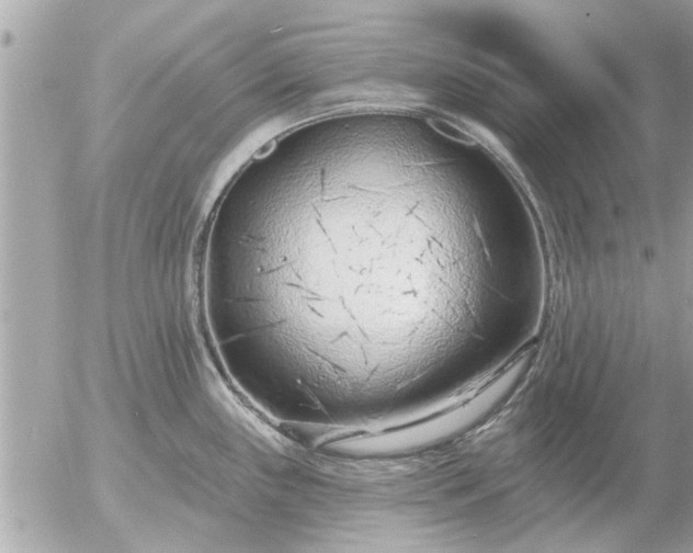 X0000055521243200508262157