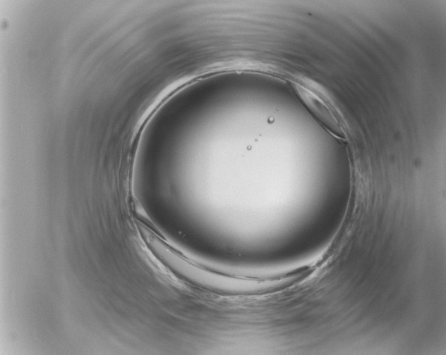 X0000055521244200508262157