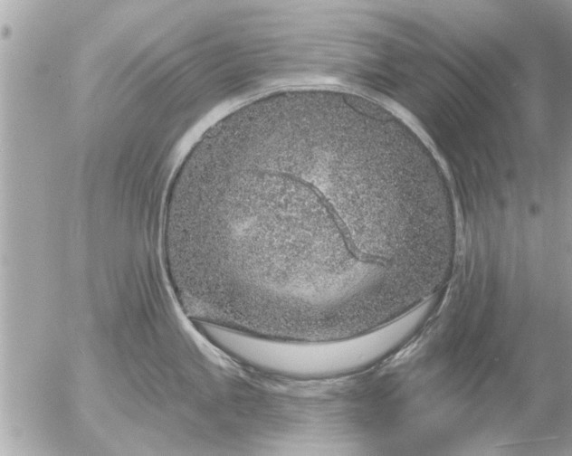 X0000055521245200508262157