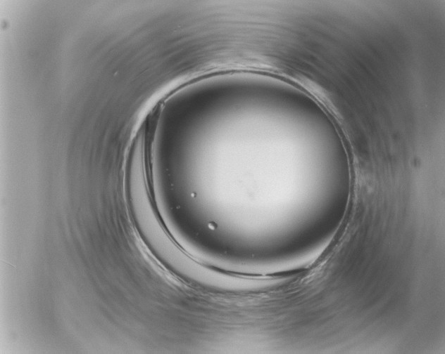 X0000055521246200508262157