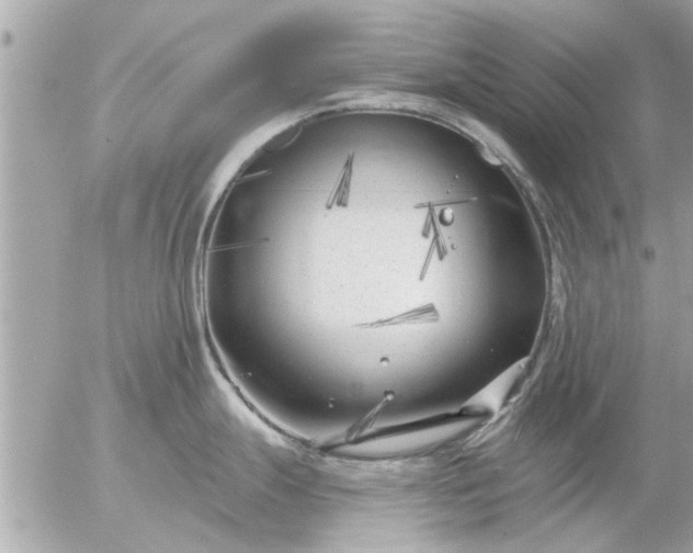 X0000055521247200508262157