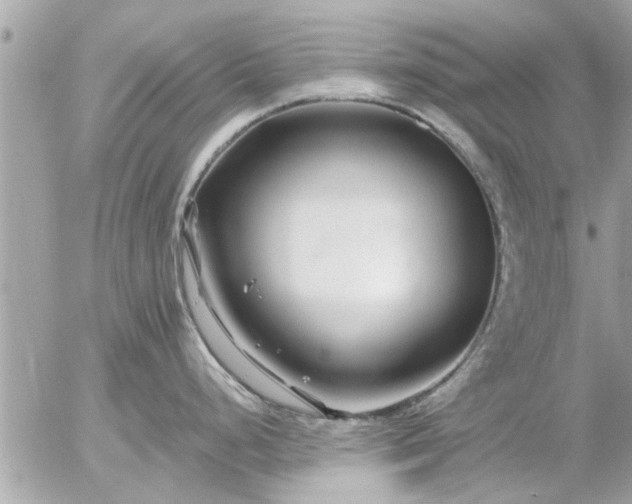 X0000055521248200508262157