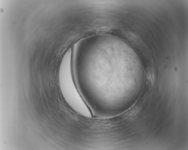 X0000055521252200508262157