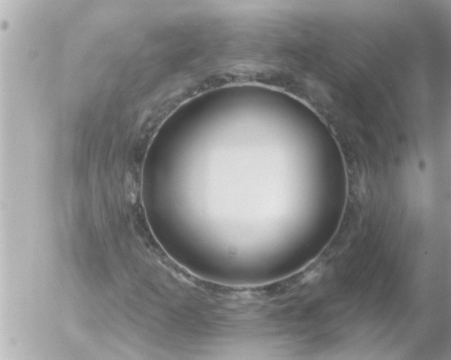 X0000055521253200508262157