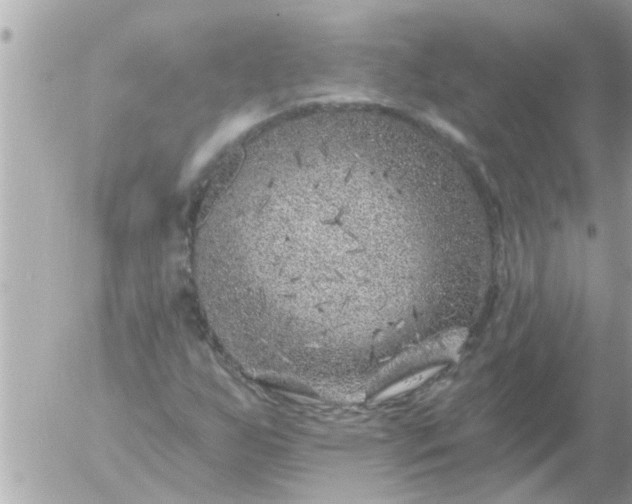 X0000055521255200508262157