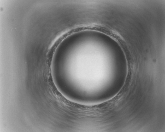 X0000055521256200508262157