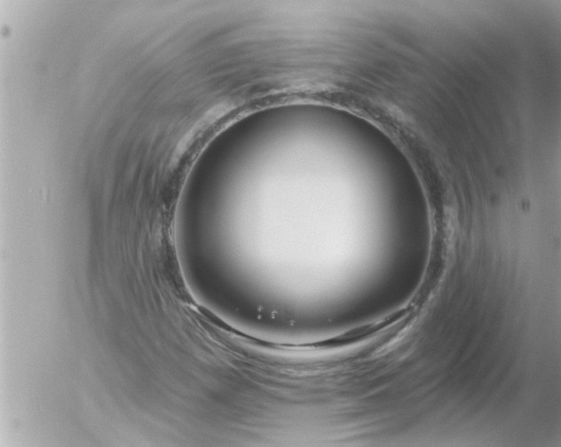 X0000055521257200508262157