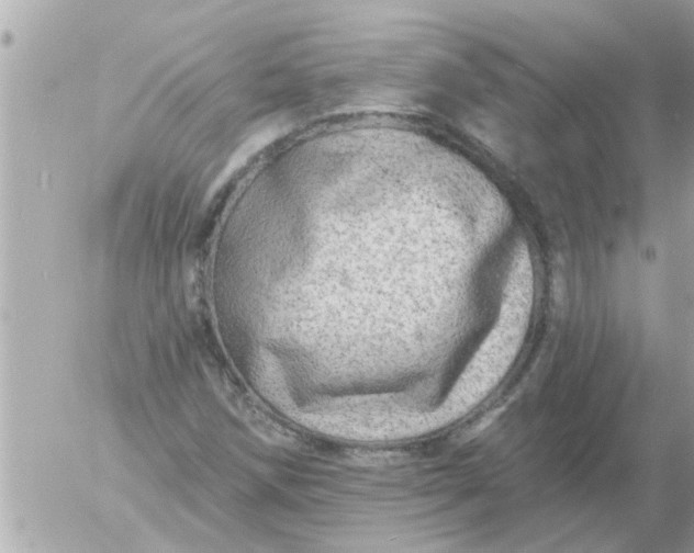 X0000055521258200508262156