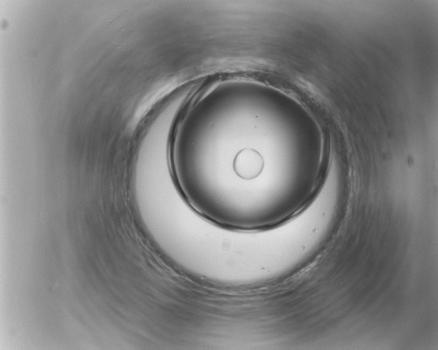 X0000055521261200508262156