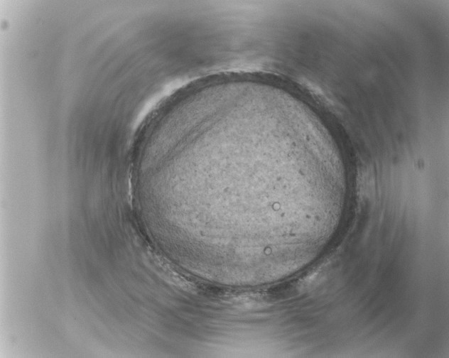 X0000055521262200508262156