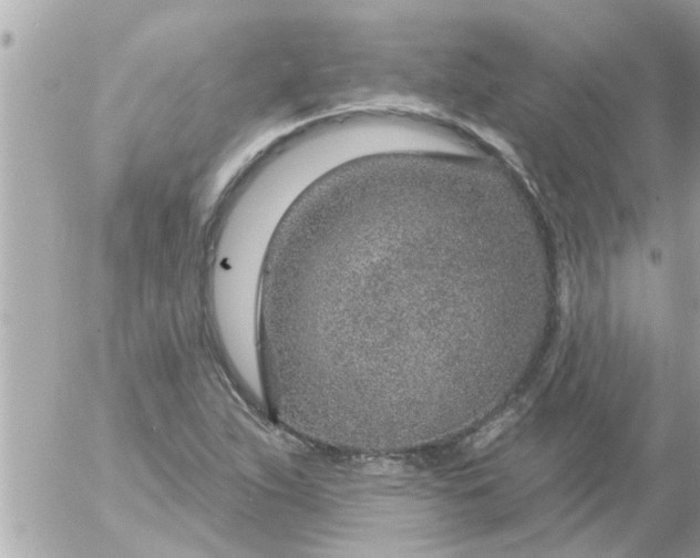 X0000055521263200508262156