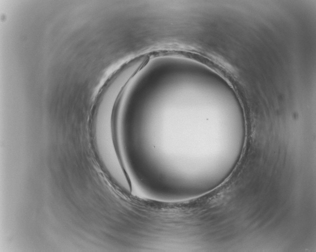 X0000055521264200508262156