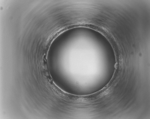 X0000055521265200508262156