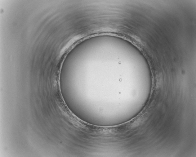 X0000055521266200508262156