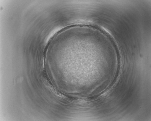 X0000055521267200508262156