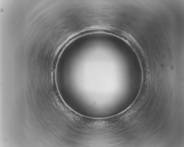 X0000055521268200508262156