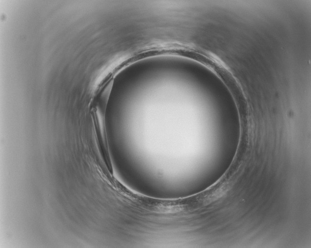 X0000055521269200508262156