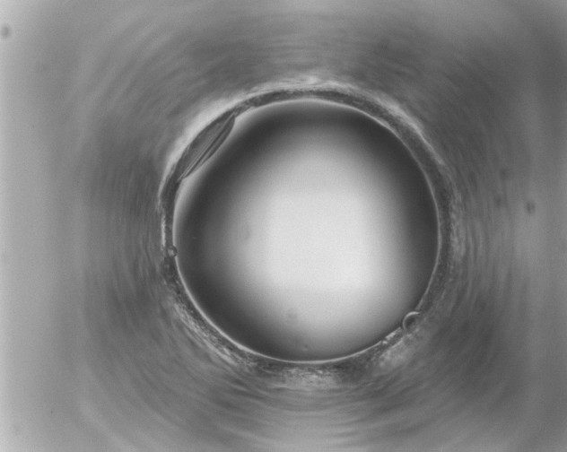 X0000055521270200508262156