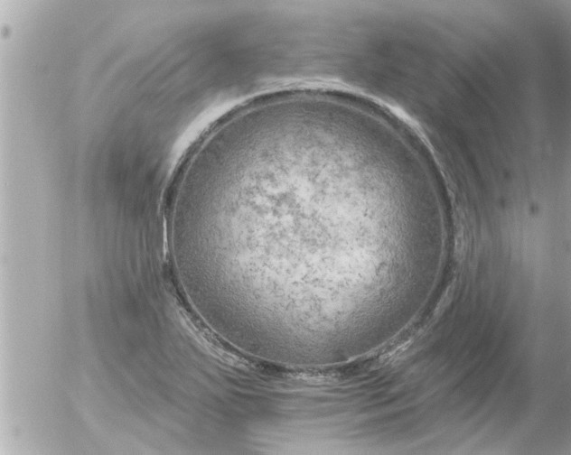 X0000055521271200508262156