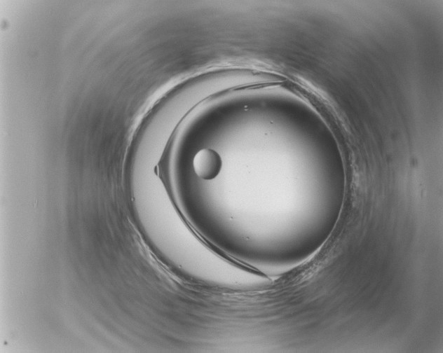 X0000055521272200508262156