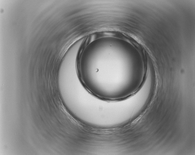 X0000055521273200508262156