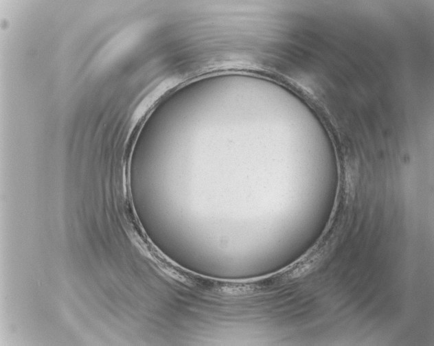 X0000055521274200508262156