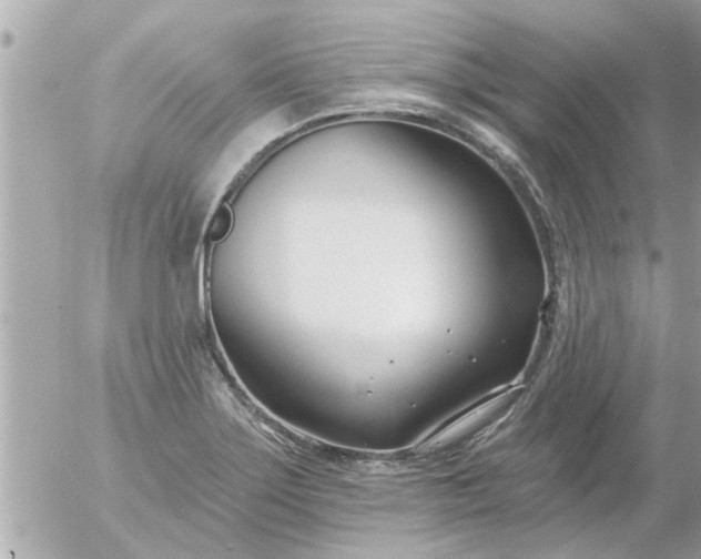 X0000055521275200508262156