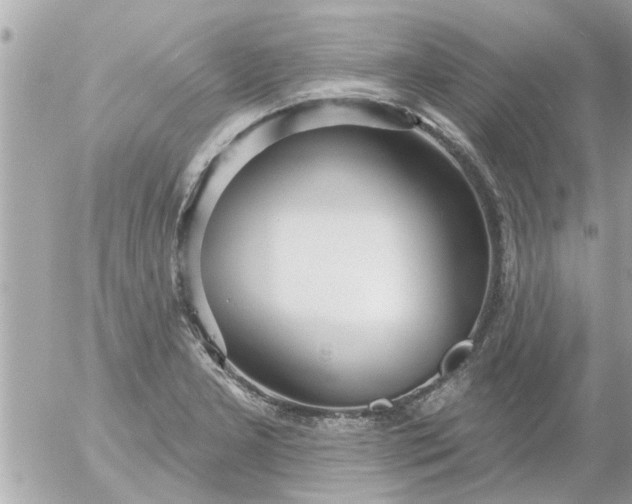 X0000055521277200508262156