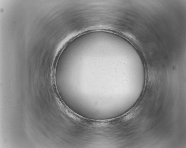 X0000055521278200508262156