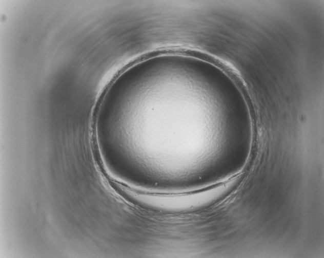 X0000055521279200508262156