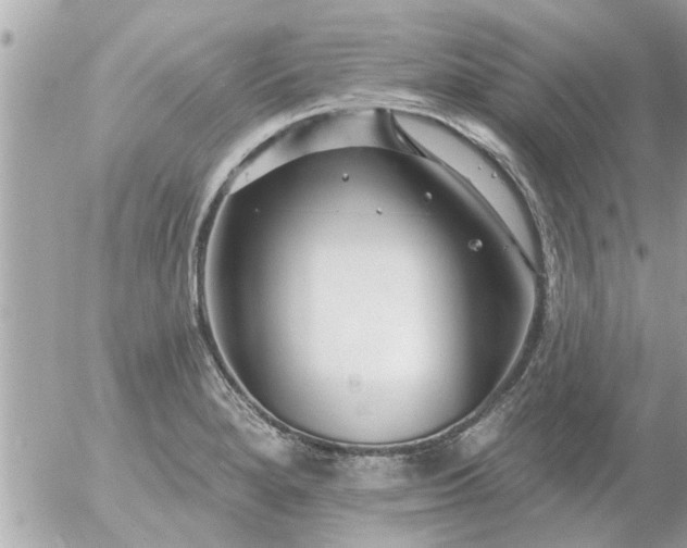 X0000055521280200508262156