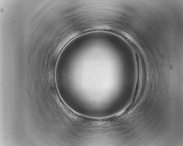 X0000055521281200508262156