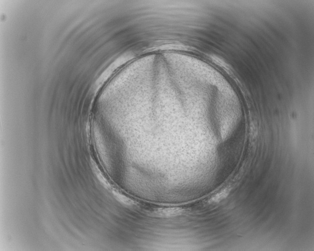 X0000055521282200508262156