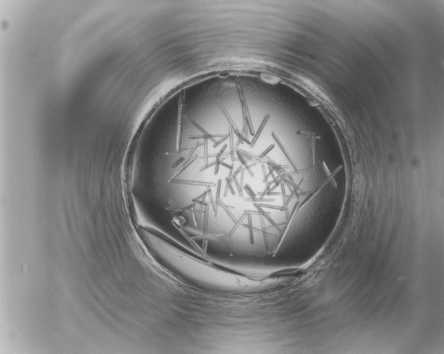 X0000055521283200508262156