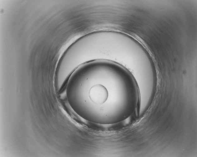 X0000055521285200508262156