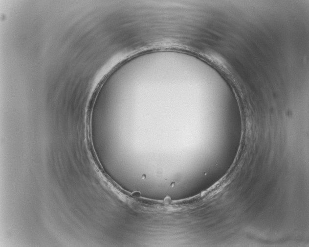 X0000055521286200508262156