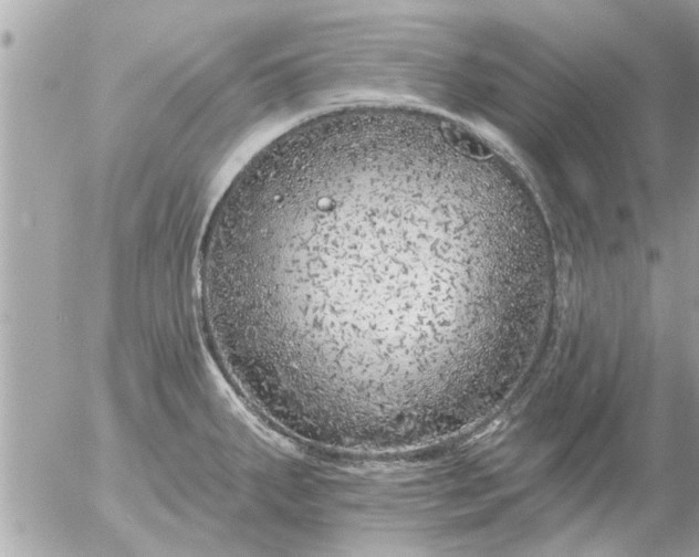 X0000055521287200508262156